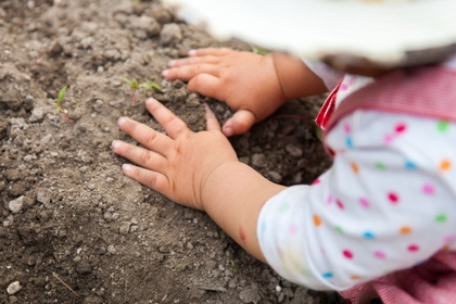 土いじり