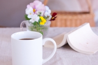 腸活初心者におすすめの本4選！失敗しない知識の取り入れ方