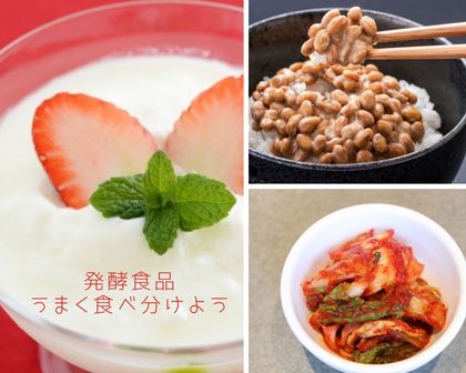 腸セラピー　腸もみ　資格　スクール