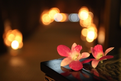 五感を研ぎ澄ませて過ごしてもらうサロンを目指して