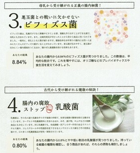 腸内検査　腸内細菌