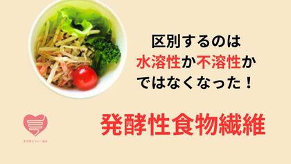 発酵性食物繊維