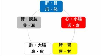 五行説の解説資料©幸せ腸セラピー協会